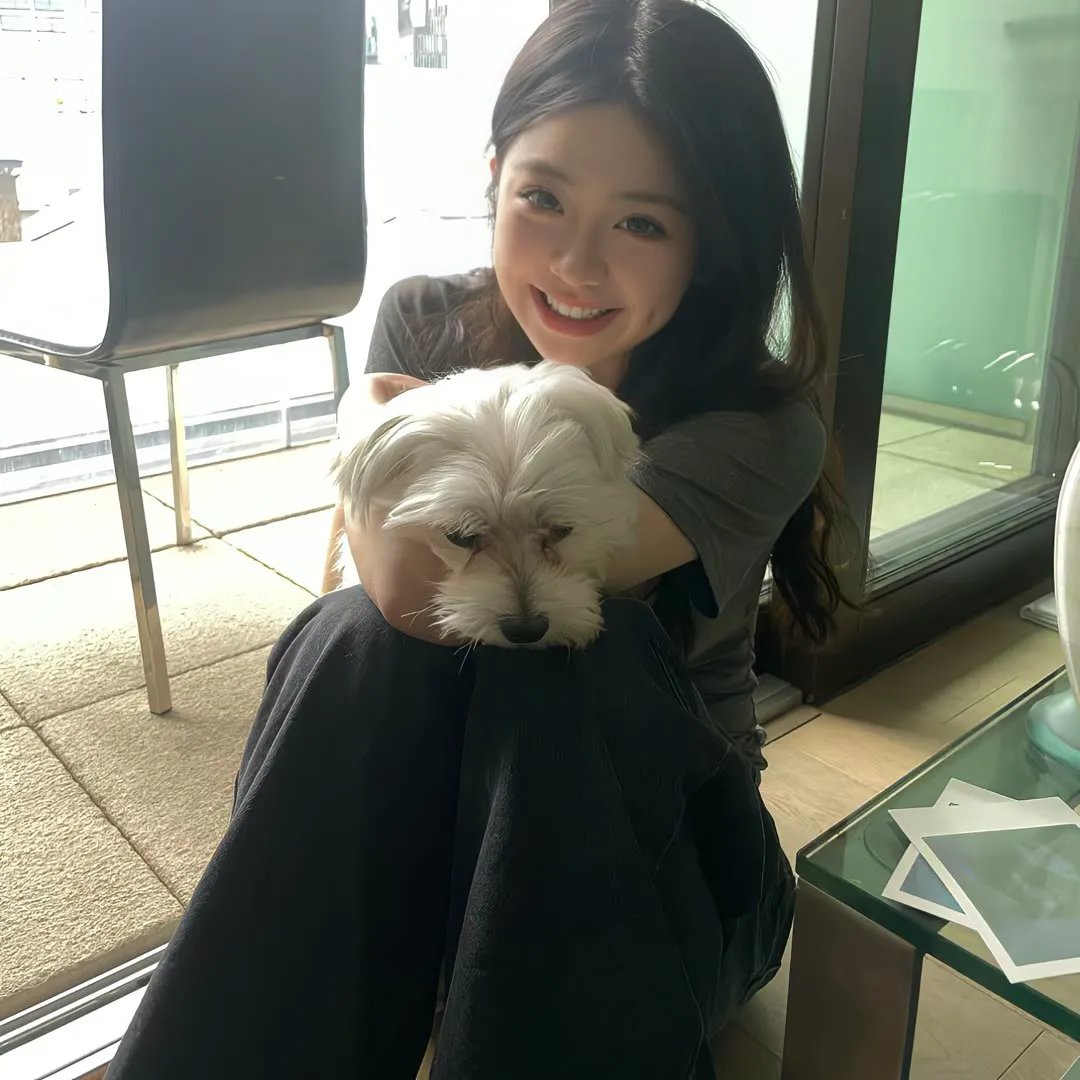我能看到成功率第三季